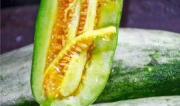 网红吃瓜网站在线